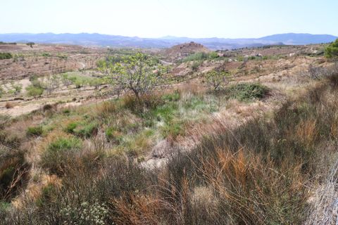 Cortijo i Velez-Blanco, Almeria, Velez-Blanco - € 310.000 | Ref: 2269-CH - foto 47